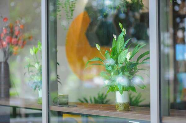 Découvrez les bienfaits des chauffages solaires pour les logements en milieu froid !